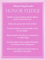 07_honor pledge-1