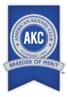 Breeder_of_Merit_Logo_2015_wShadow-210x300